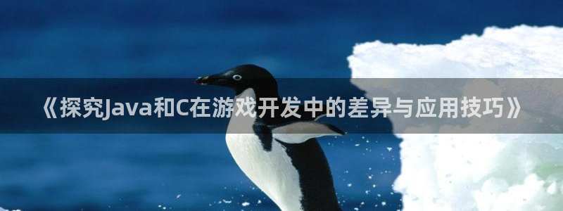 沐鸣娱乐2代理
