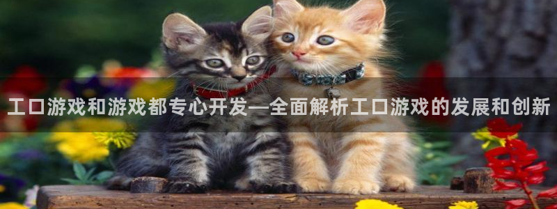 沐鸣娱乐2代理