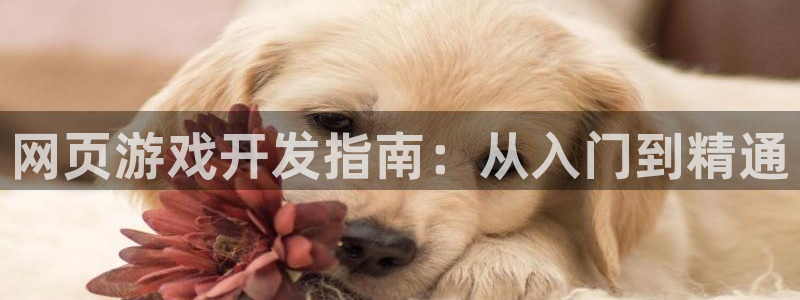 沐鸣2平台招商