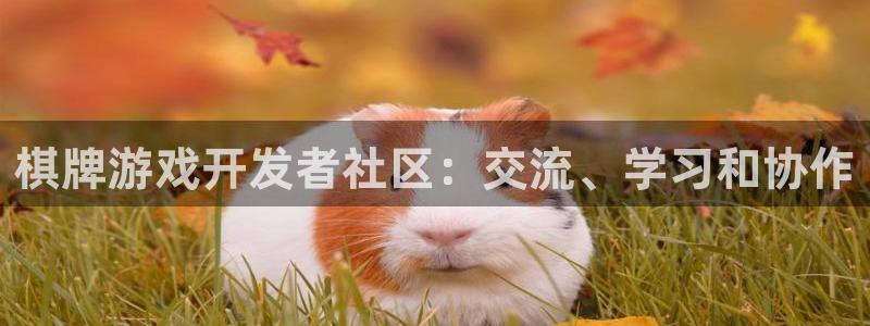 沐鸣娱乐2l怎么样