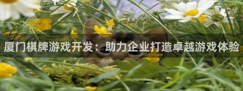 沐鸣2平台负责人
