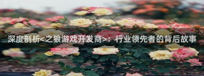 沐鸣2官网网址