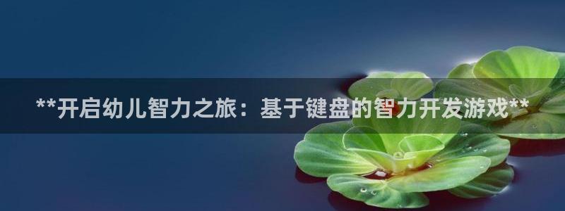 沐鸣娱乐2官网：**开启幼儿智力之旅：基于键盘的智力开发游戏**