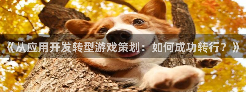 沐鸣2平台测速登录：《从应用开发转型游戏策划：如何成功转行？》