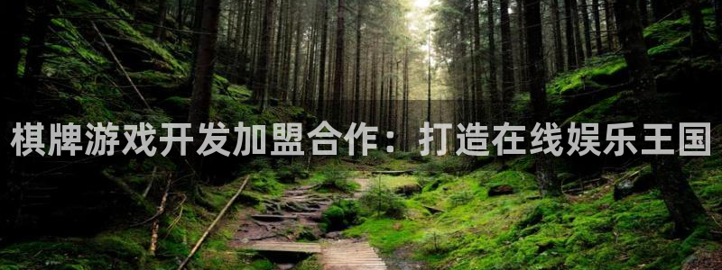 沐鸣2输钱能要回来吗：棋牌游戏开发加盟合作：打造在线娱乐王国